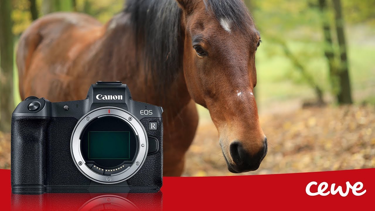 Canon EOS R - recenzia