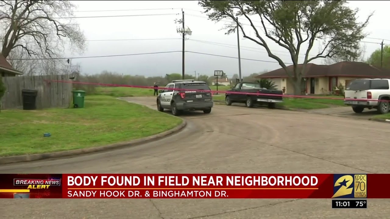 Body found in southeast Houston field