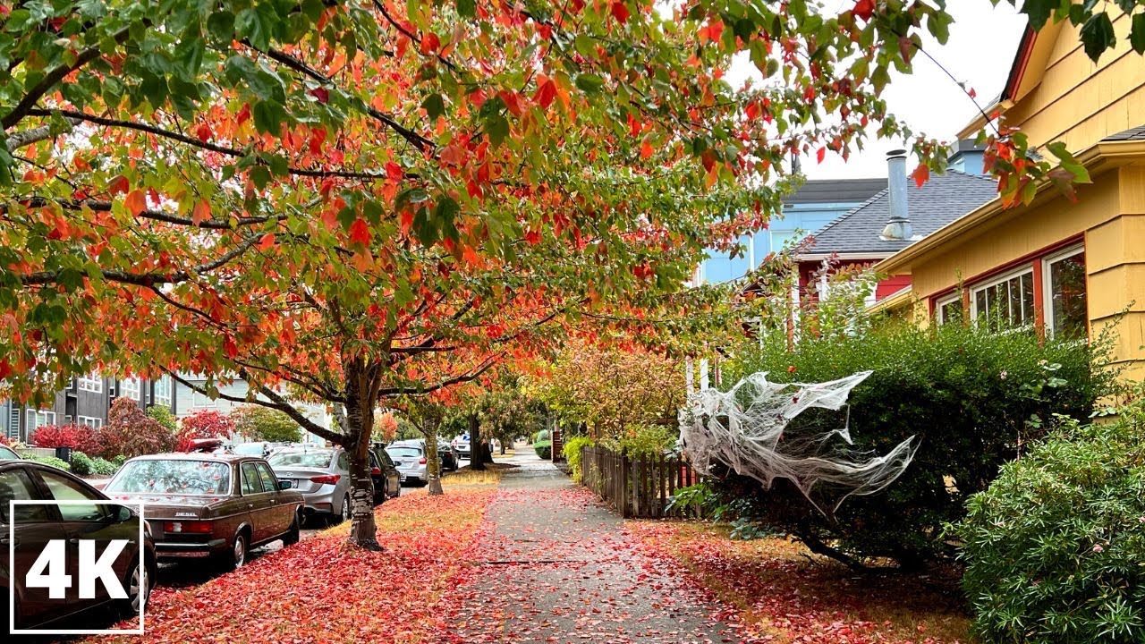 ☔️ Rainy Fall Foliage in Ballard October 2022 | 4K Seattle Walking Tour