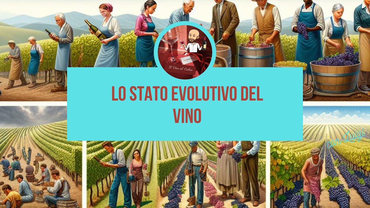 Lo stato evolutivo del Vino