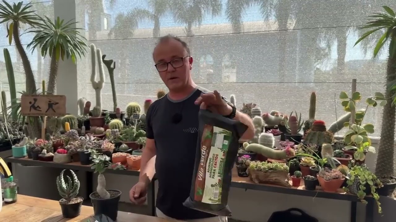 Adubo para cactos e suculentas: o que realmente funciona