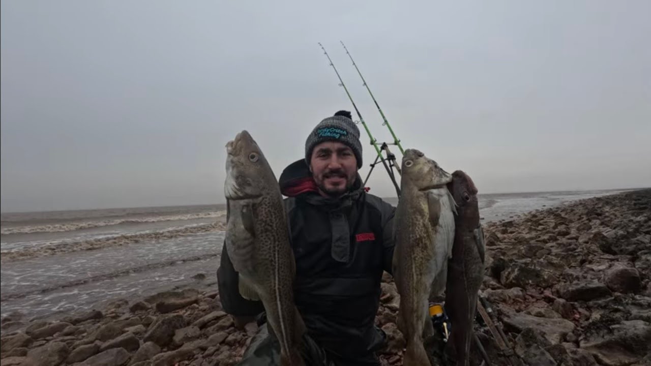 - Back into the cod in January - River Humber -