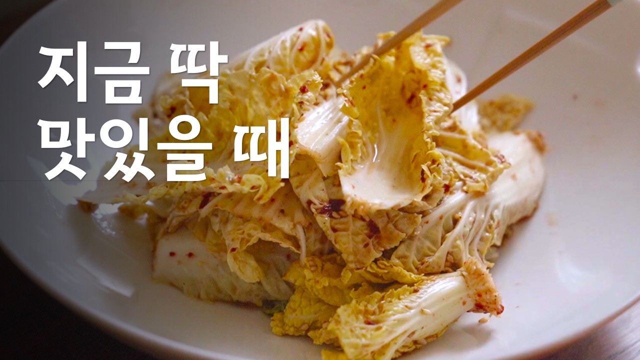 요즘 이거 꼭 먹어줘야 해요! 봄동무침 배추샐러드 정위스님