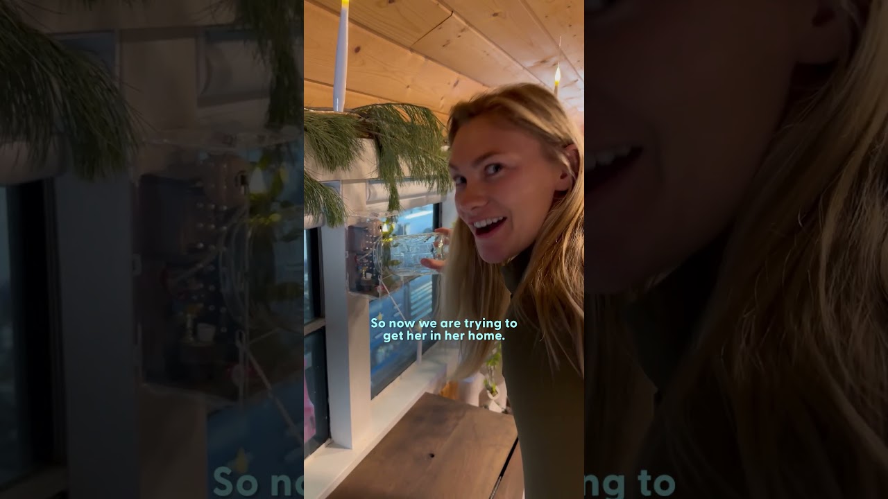 Tiny Spider Keeps Returning So She Built Him A Cozy Home | The Dodo