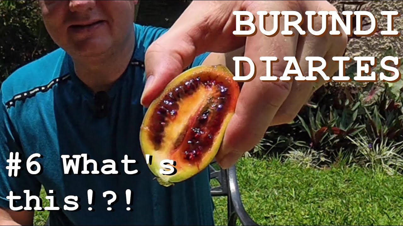BURUNDI DIARIES - #6  What's this mystery fruit!?! (English subtitles)