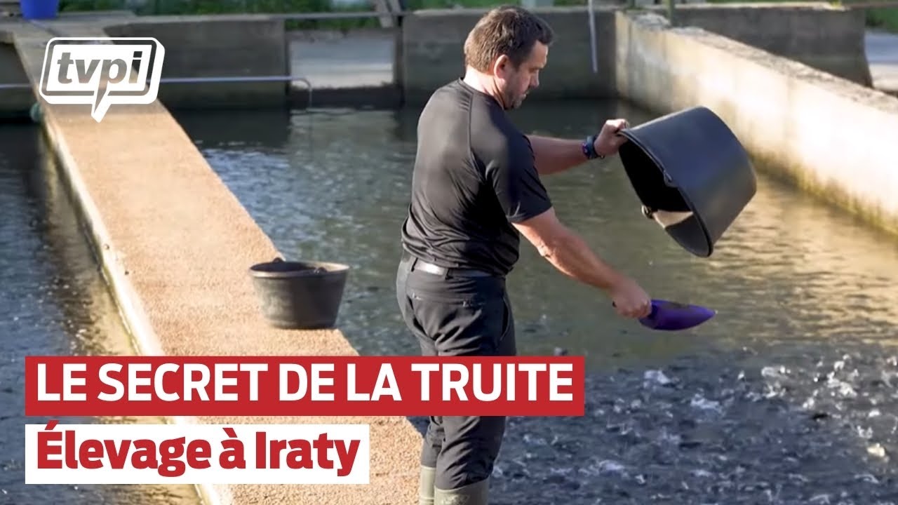 Pisciculture d'Iraty, l'art du bien élever