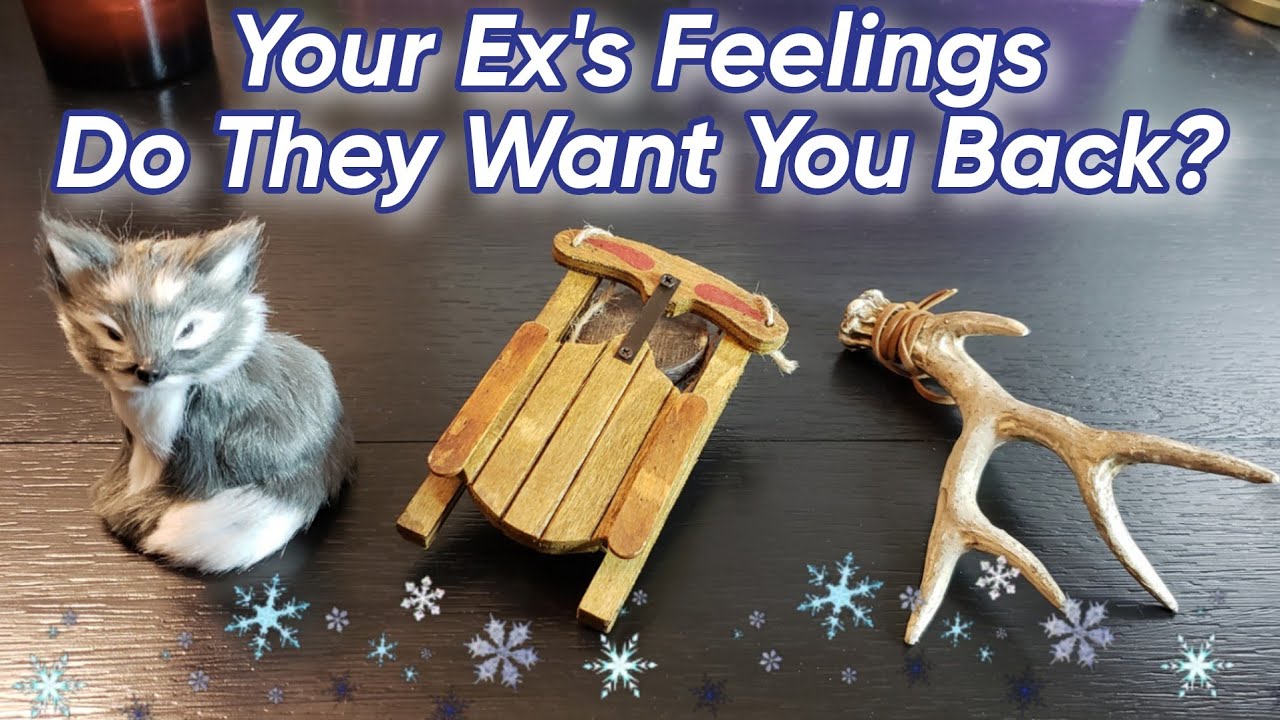 💕 Your Ex's Feelings 💕 Do They Have Regrets? Do They Want You Back? Pick A Card Love Reading