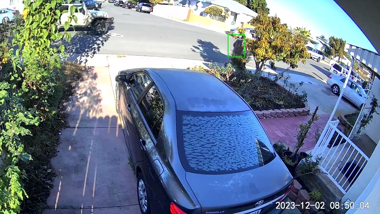 person 