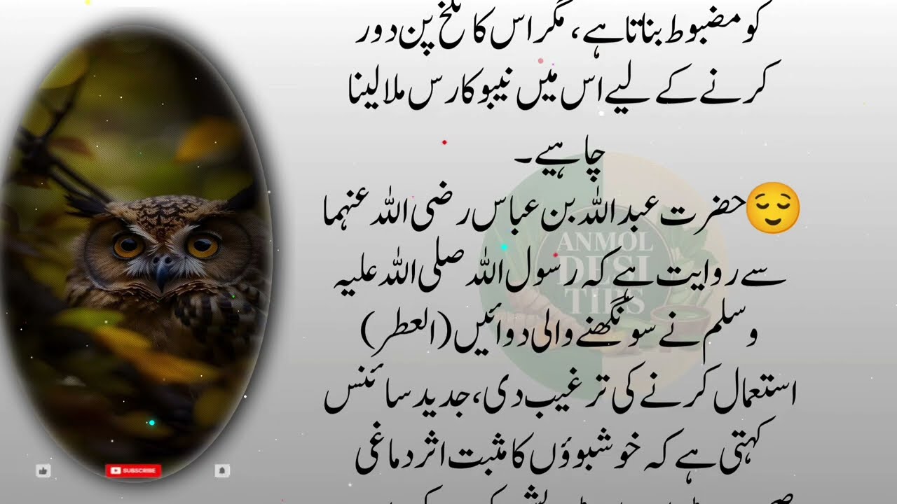 Rumi Quotes in Urdu | Hikmat Ki Batein | Best Motivational Quotes About Life |Golden Words