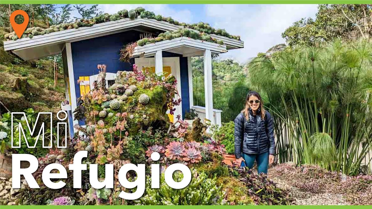El paraíso de las suculentas y las Hotensias : Mi Refugio - Cartago