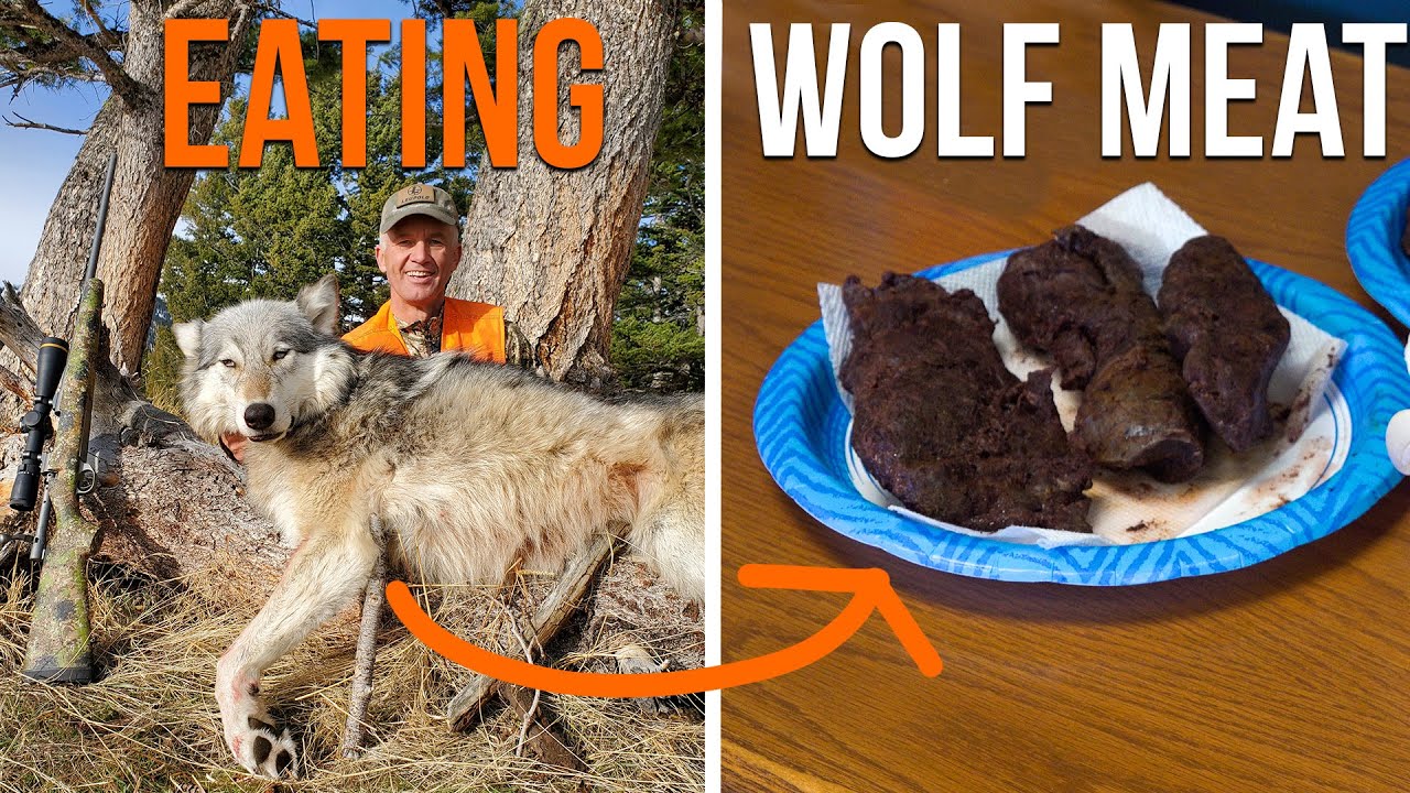 EATING WOLF MEAT?! (Wild Game Cooking)