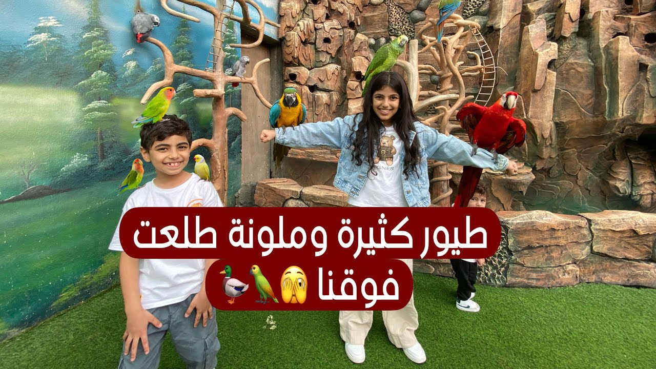 حديقة الطيور في الطايف .. طلعت طيور ملونة فوقنا 😵.. وركبنا توبوجان العااااالية | Bird park in Taif
