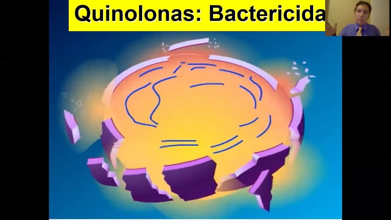 QUINOLONAS