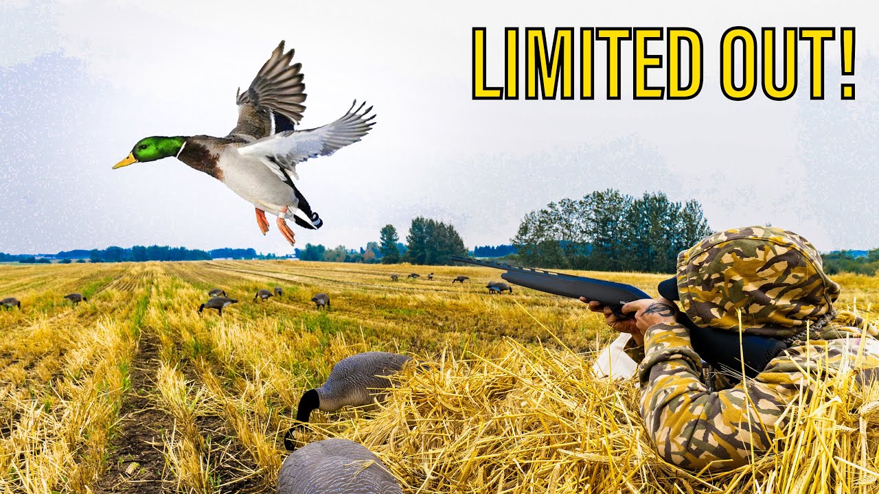 SOLO .410 DUCK HUNT CHALLENGE!! (Banded Mallard)