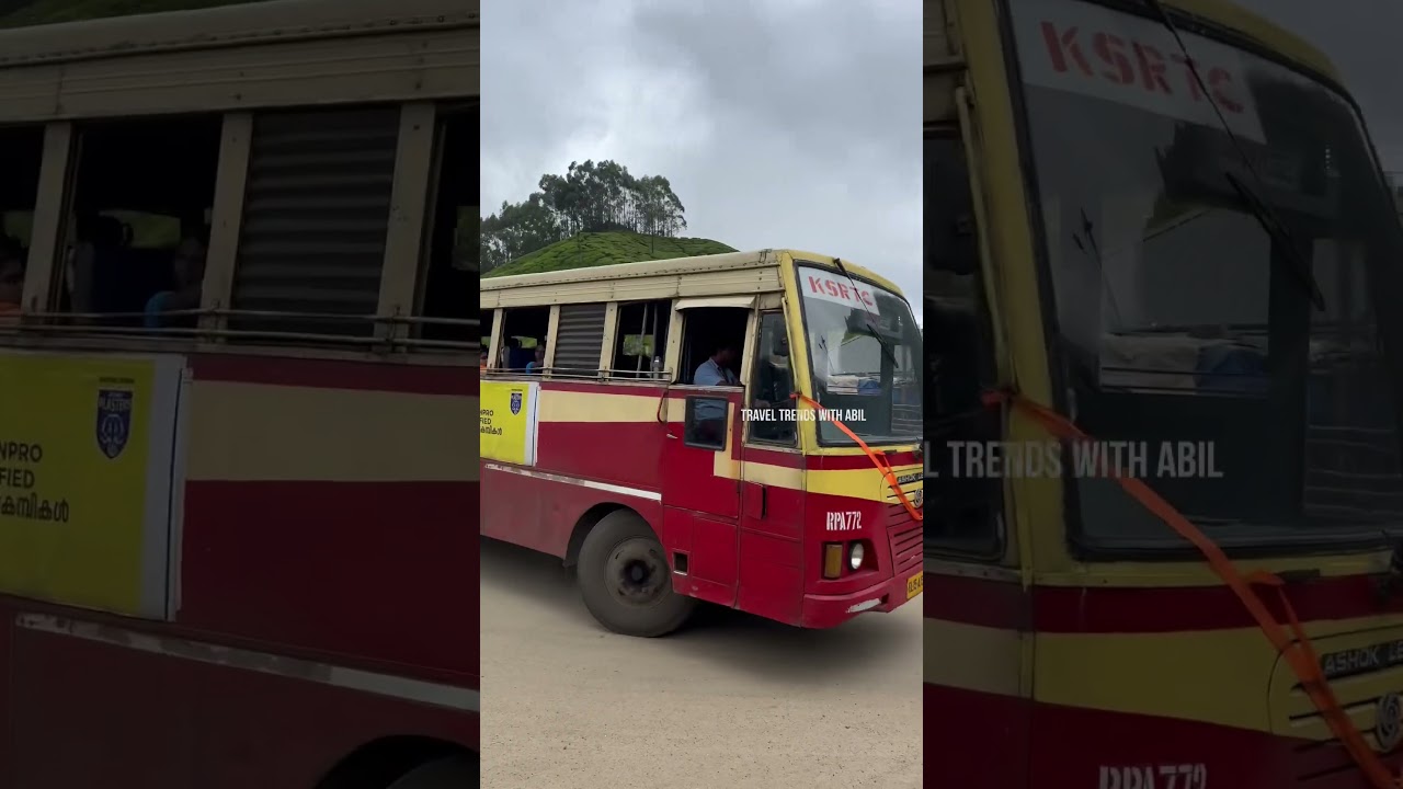 Kochi TopStation via Vattavada One day tour can be done by bus🔥Ernakulam vattavada Bus tour #vattavada
