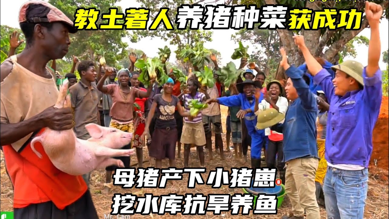 教土著人养猪种菜获成功，母猪产下一窝小猪仔，挖水库抗旱养鱼