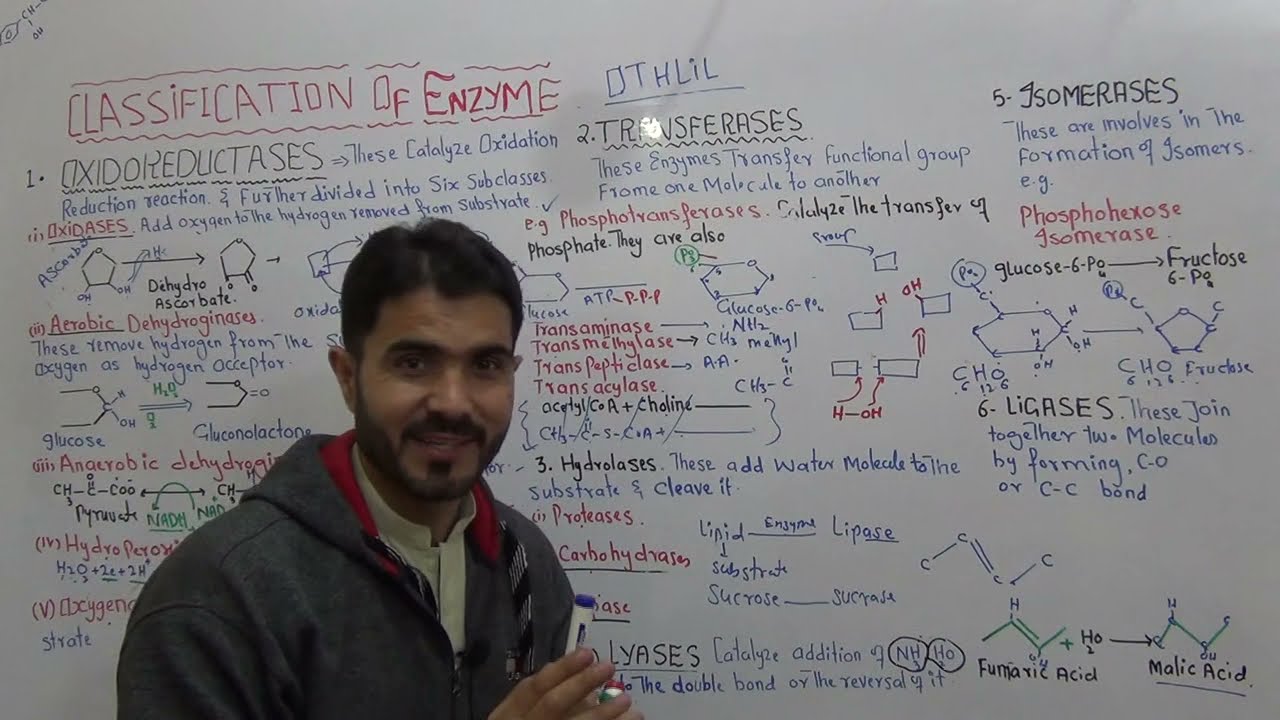 L-7 Enzyme classification // six classes of enzyme OTHLIL