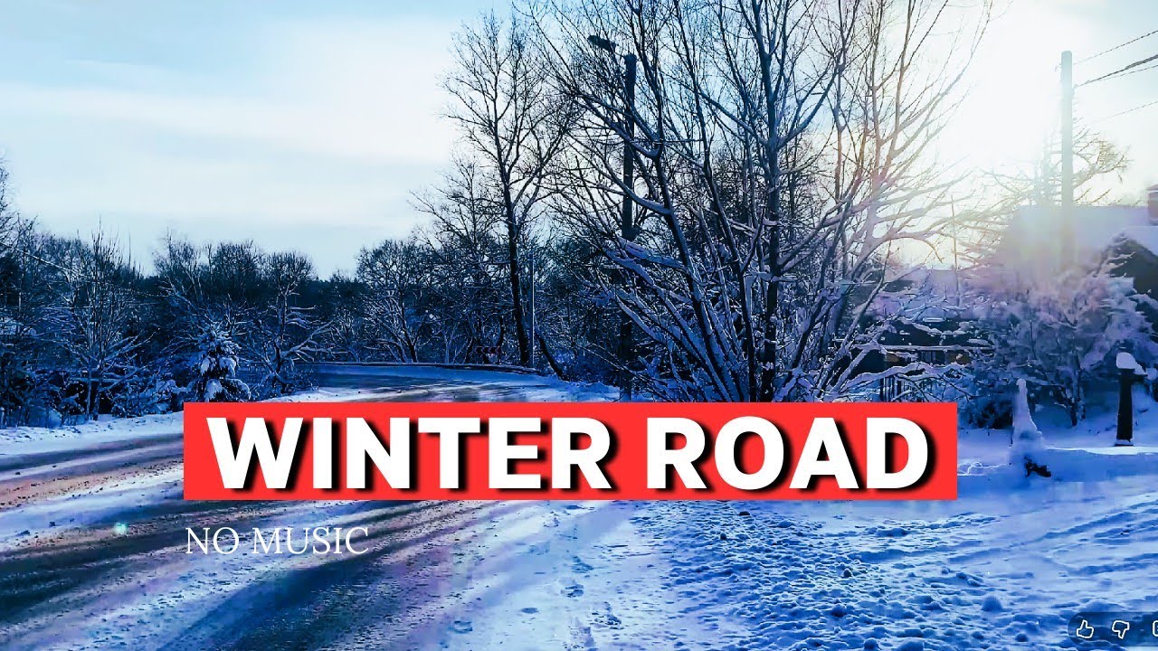 WINTER BUS RIDE: Through Russian Villages & Snowy Forests | No Music ASMR