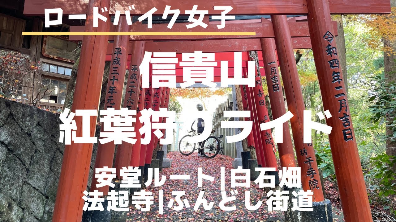 【ロードバイク女子】信貴山紅葉狩りライド（安堂ルート|白石畑|法隆寺)
