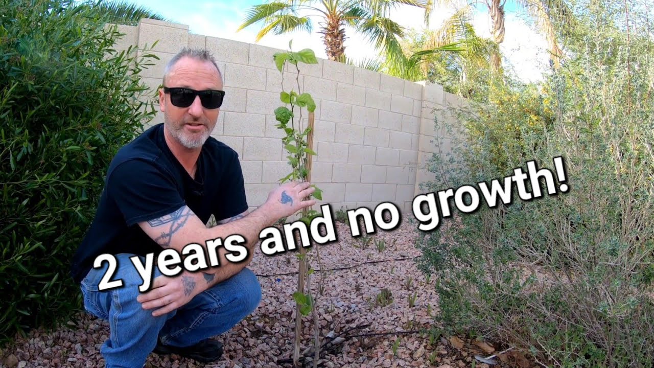 How to kick start growth!