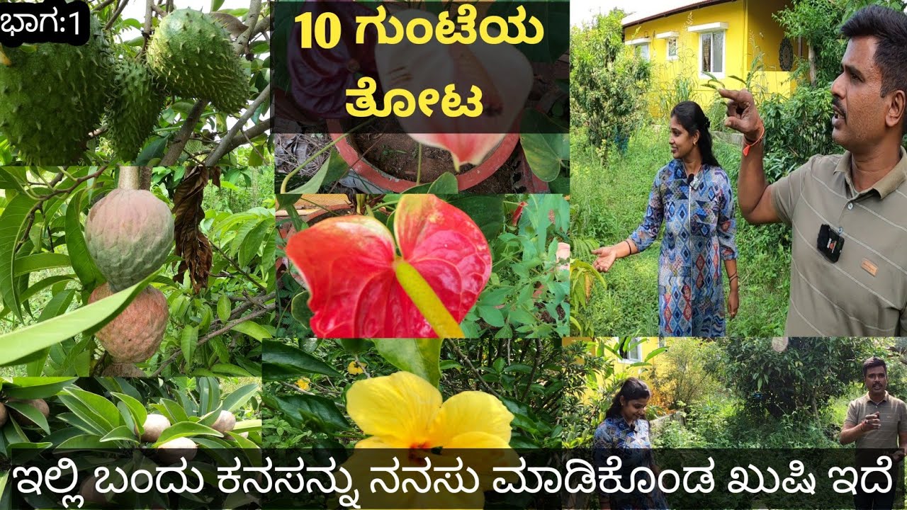ಕಡಿಮೆ ಜಾಗದಲ್ಲೇ ಕನಸನ್ನು ನನಸು ಮಾಡಿಕೊಂಡ ಸಾಫ್ಟ್ ವೇರ್ ದಂಪತಿಗಳು... ಪ್ರಕೃತಿಗೆ ಹತ್ತಿರವಾಗಬೇಕೆಂಬುದೇ ಇವರ ಬಯಕೆ