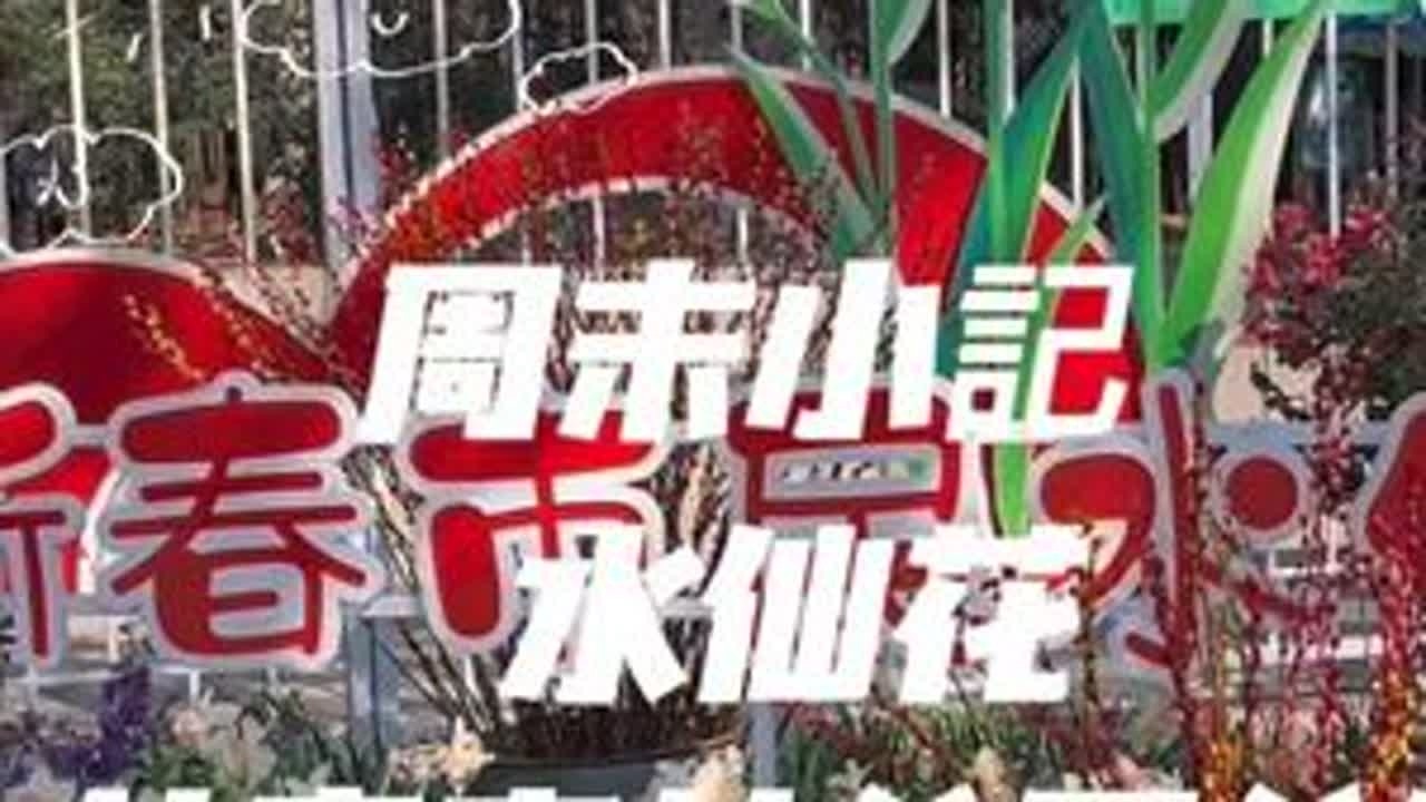 2026年共青森林公园水仙花展又开始了，这次的长视频本来是不准备发了，但是有小伙伴说看了我前面的短视频去了但是没有找到我拍的那些水仙花雕刻作品，最后想想还是发个长视频说一下吧，不想发的原因是前面...