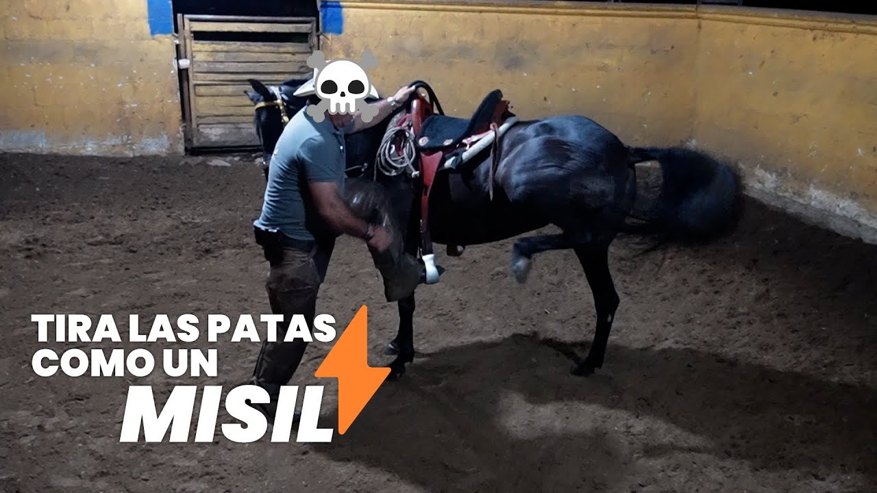 YEGUA QUE NO SE DEJA MONTAR  Tira las patas como un misil