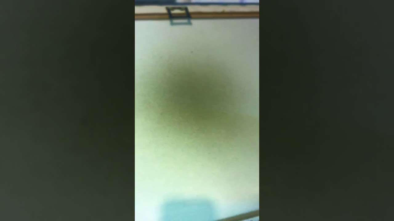 making dry ice hash