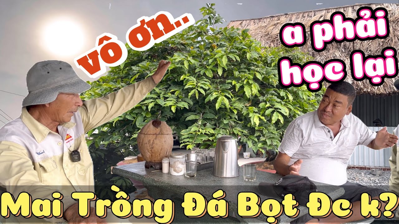 Phương Bình bức xúc: Chú Sáu Bình Dương đáp trả căng & chính thức là trưởng ban đấu giá mai từ thiện