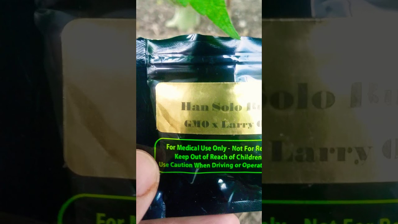 Han solo burger most potent strain of 2018