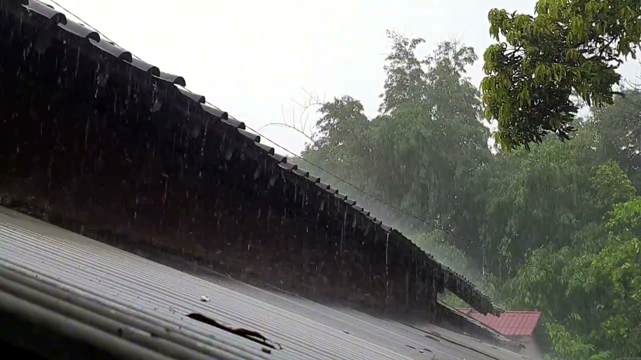 1 Hour Heavy Rain ASMR 🌧️ Deep Sleep, Study Focus,