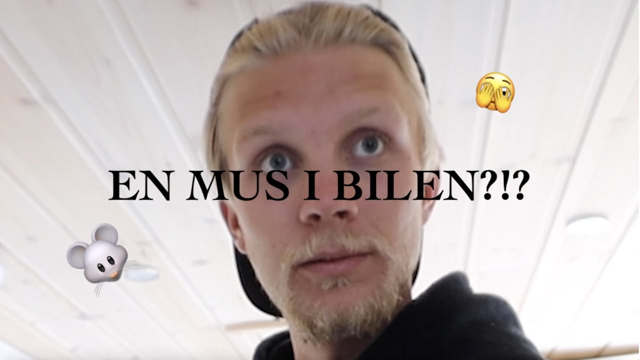 Musproblem och färja till Sicilien