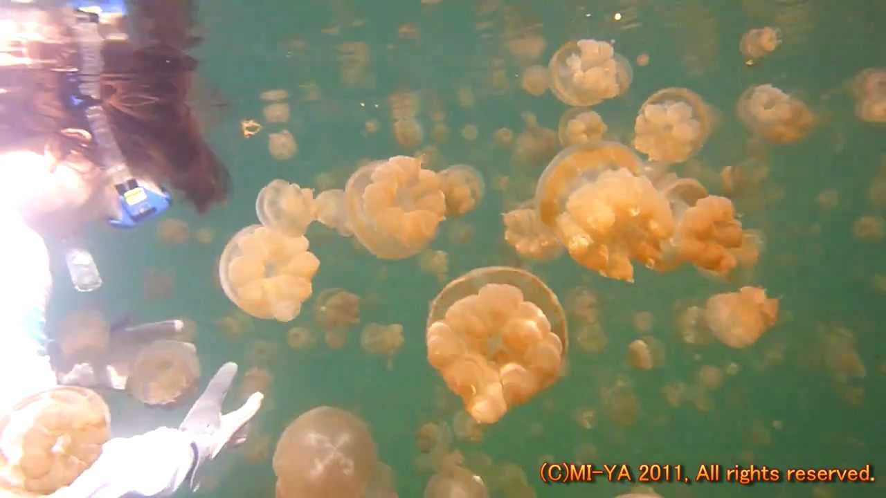 PALAU 