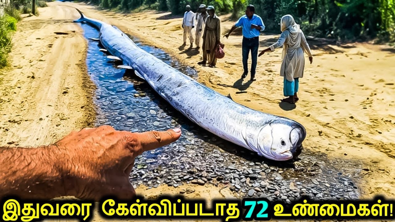 பிரம்மிக்கவைக்கும் 72 ஆச்சரியமான விஷயங்கள்! | Things You Will See For The First Time |Tamil Ultimate