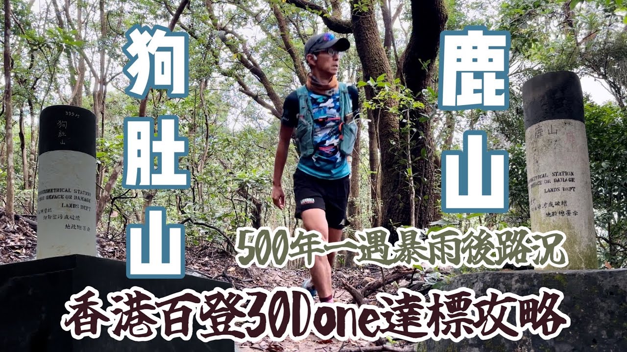 香港百登30Done達標攻略｜🐕 狗肚山🦌鹿山[香港行山郊遊路線] 4K拍攝｜500年一遇暴雨後路況｜又係新手嚟計少少難多多趣路線｜沙田火炭大埔行山路線登山活動介紹