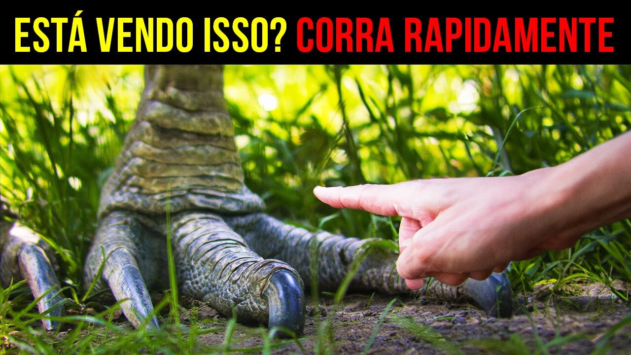 O guia de sobrevivência que você não sabia que precisava