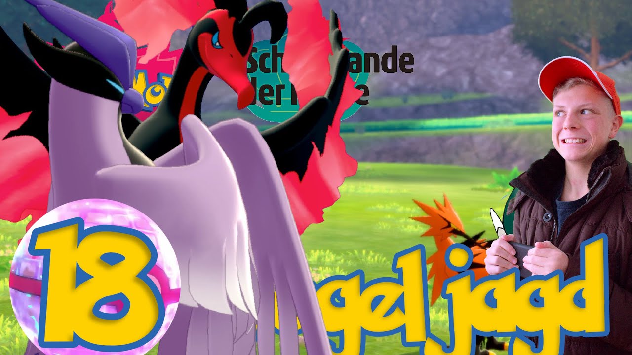 JAGD nach den SELTENSTEN V&Ouml;GELN🛡️Pok&eacute;mon Schild Erweiterungspass #18