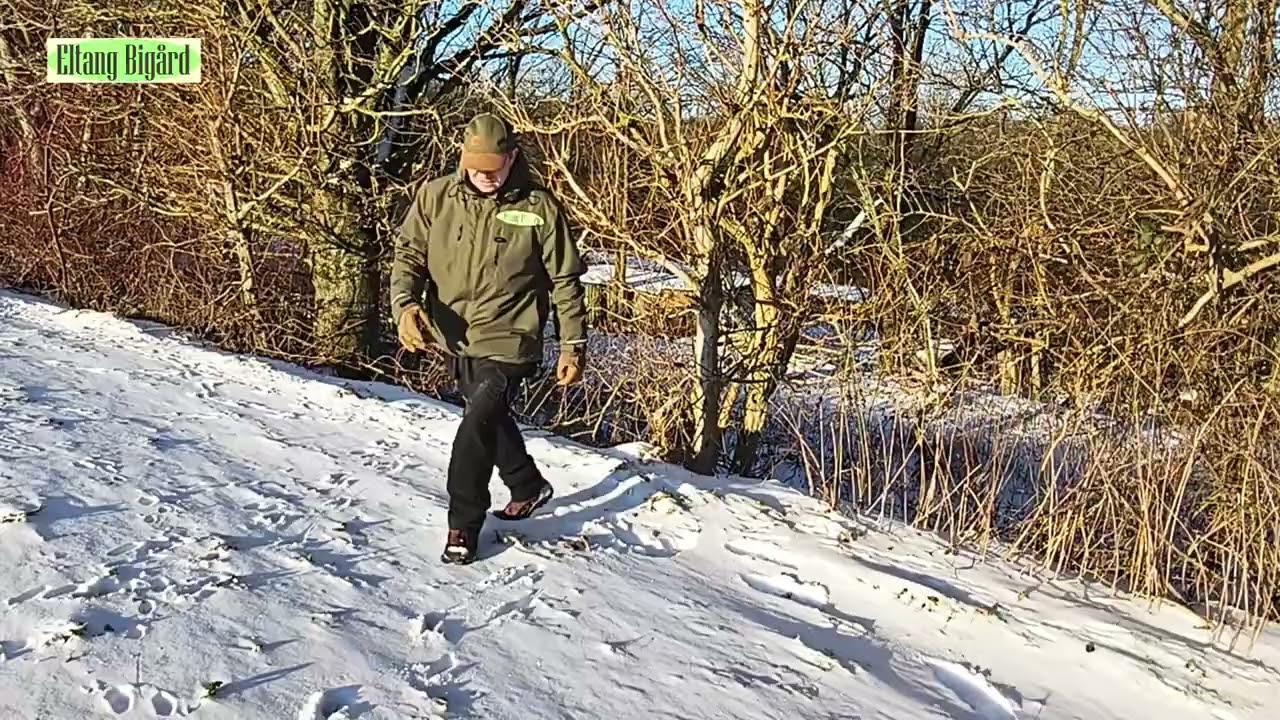 Find dyrespor i sneen - Så nemt er det.