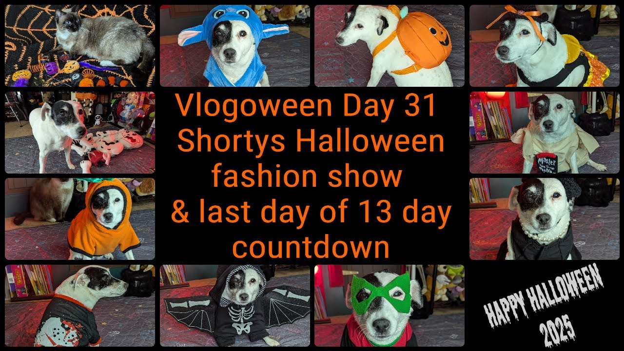 Vlogoween Day 31 Shorty's Halloween fashion show and last day of 13 day countdown to Halloween