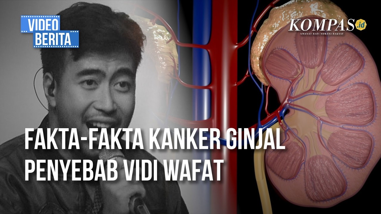 Mengenal Kanker Ginjal, Penyakit Senyap di Balik Kepergian Vidi Aldiano