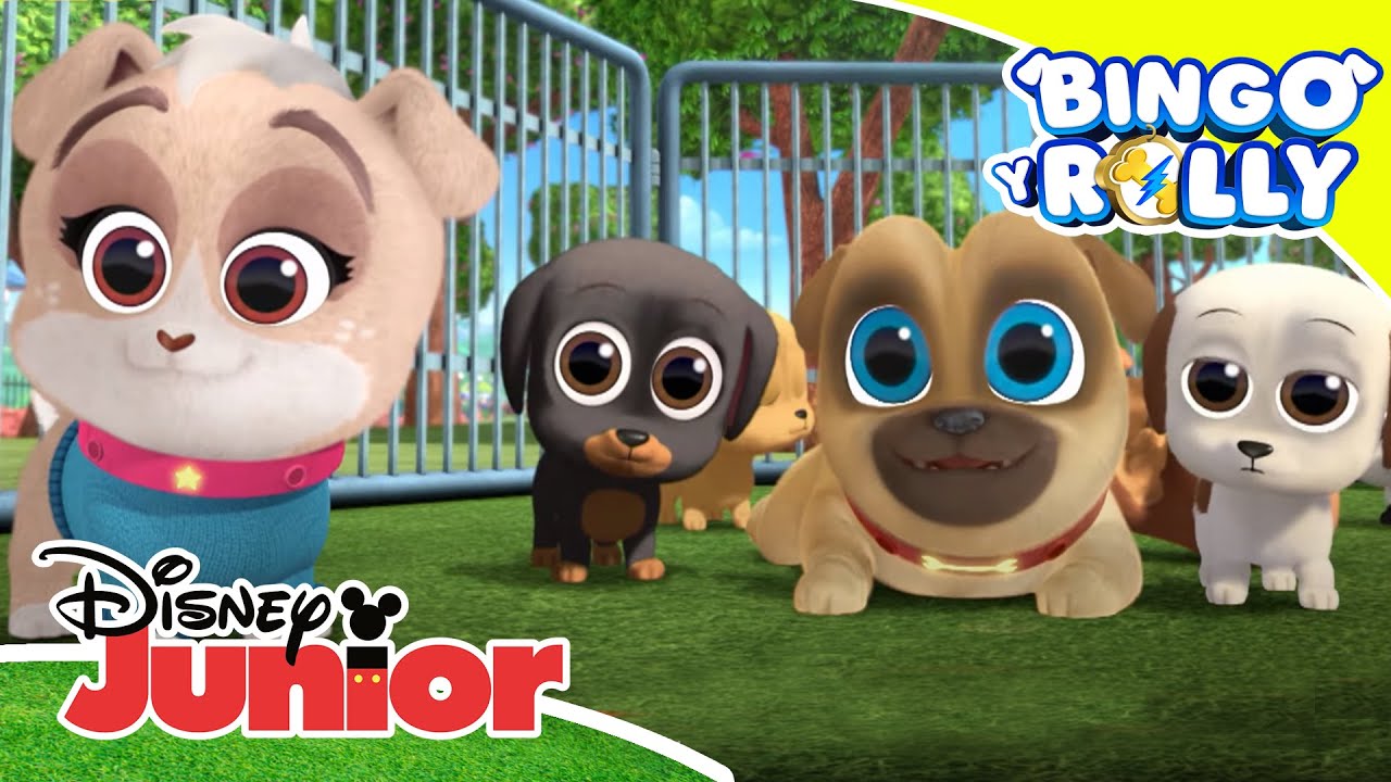 Bingo y Rolly: Cachorros problem&aacute;ticos | Disney Junior Oficial