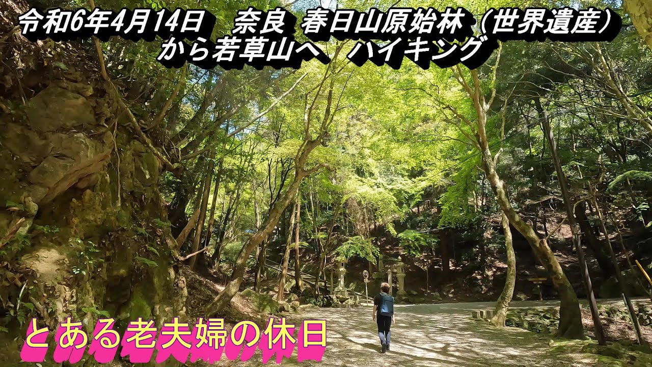 R6年4月14日奈良　春日山原始林から若草山