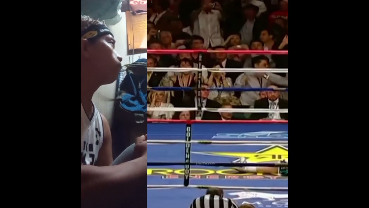 IBO BOXING BELT.RICKY HATTON VS MANNY PACQUIAO.GREAT KNOCKOUT