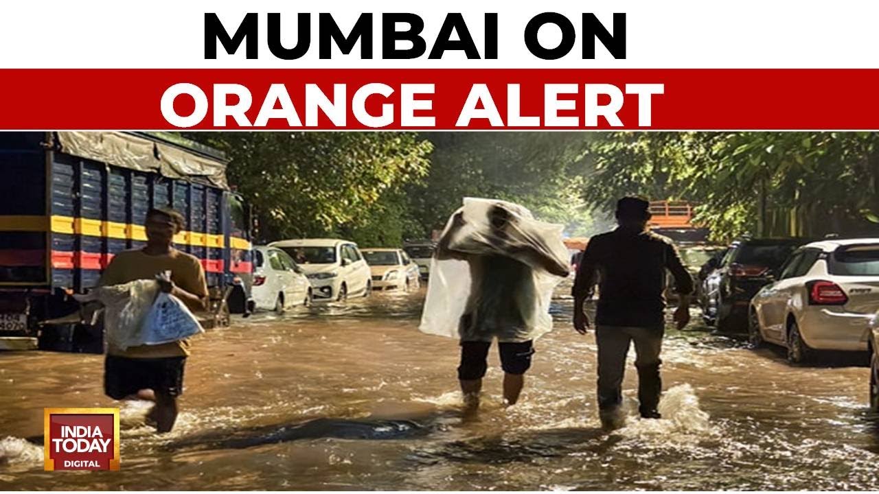 Mumbai on Orange Alert, Schools Shut, Woman Dies in Pothole Incident