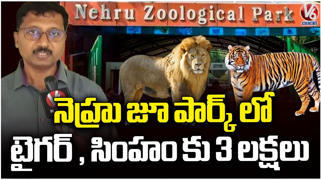 Nehru Zoological  Animal Adoption Drive Attract Public Attention | V6 News