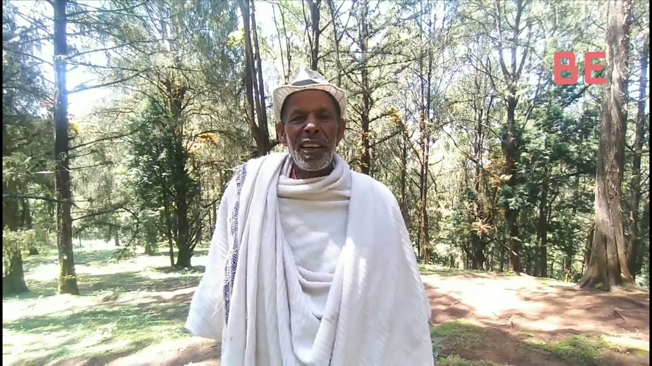 በጉራጌ ዞን ጌታ ወረዳ ዛራ ደን