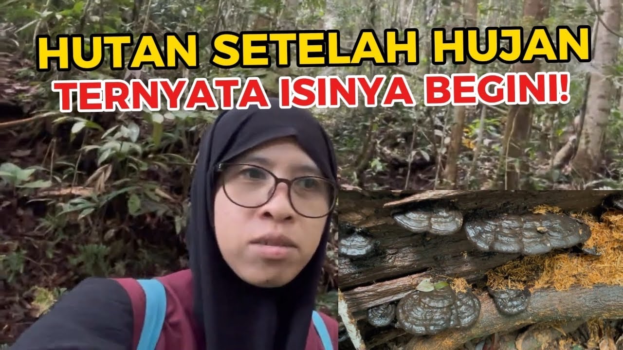 Masuk Hutan Setelah Hujan Semalaman, Ternyata Ini Yang Ditemukan ....