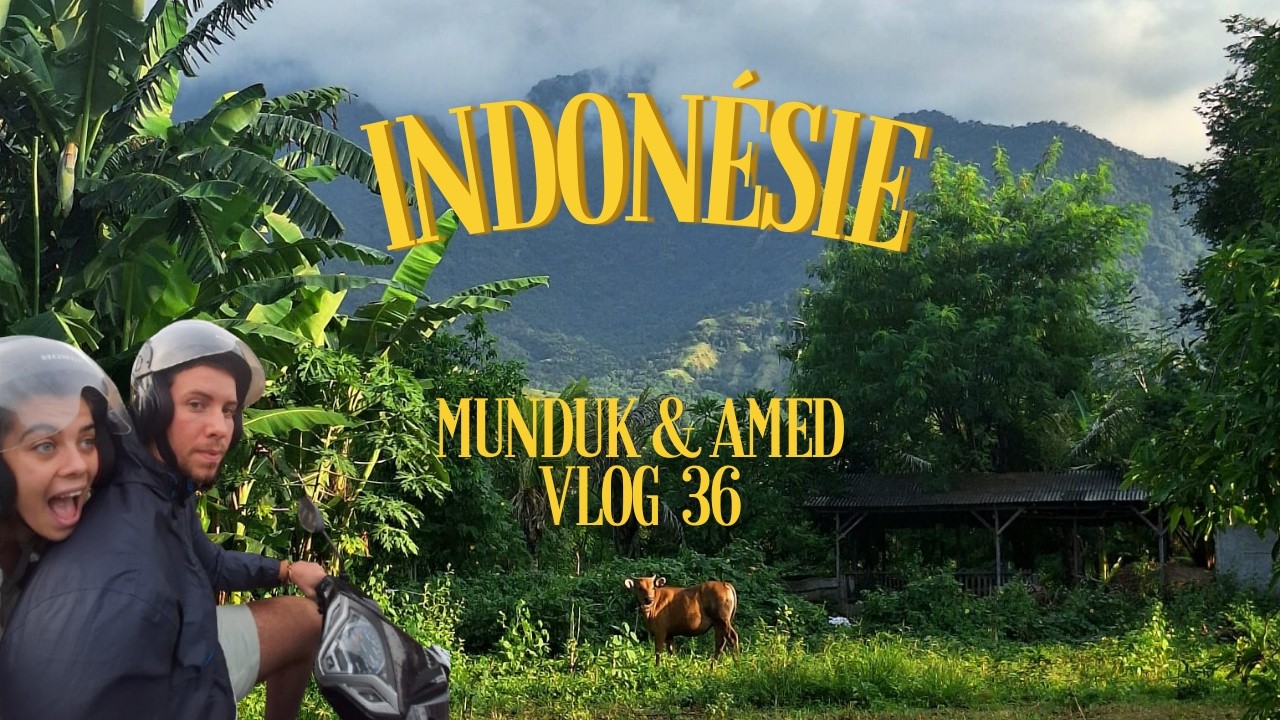 ON ARRIVE ENFIN SUR BALI POUR EN PRENDRE PLEIN LES YEUX... (Road Trip Asia #36)