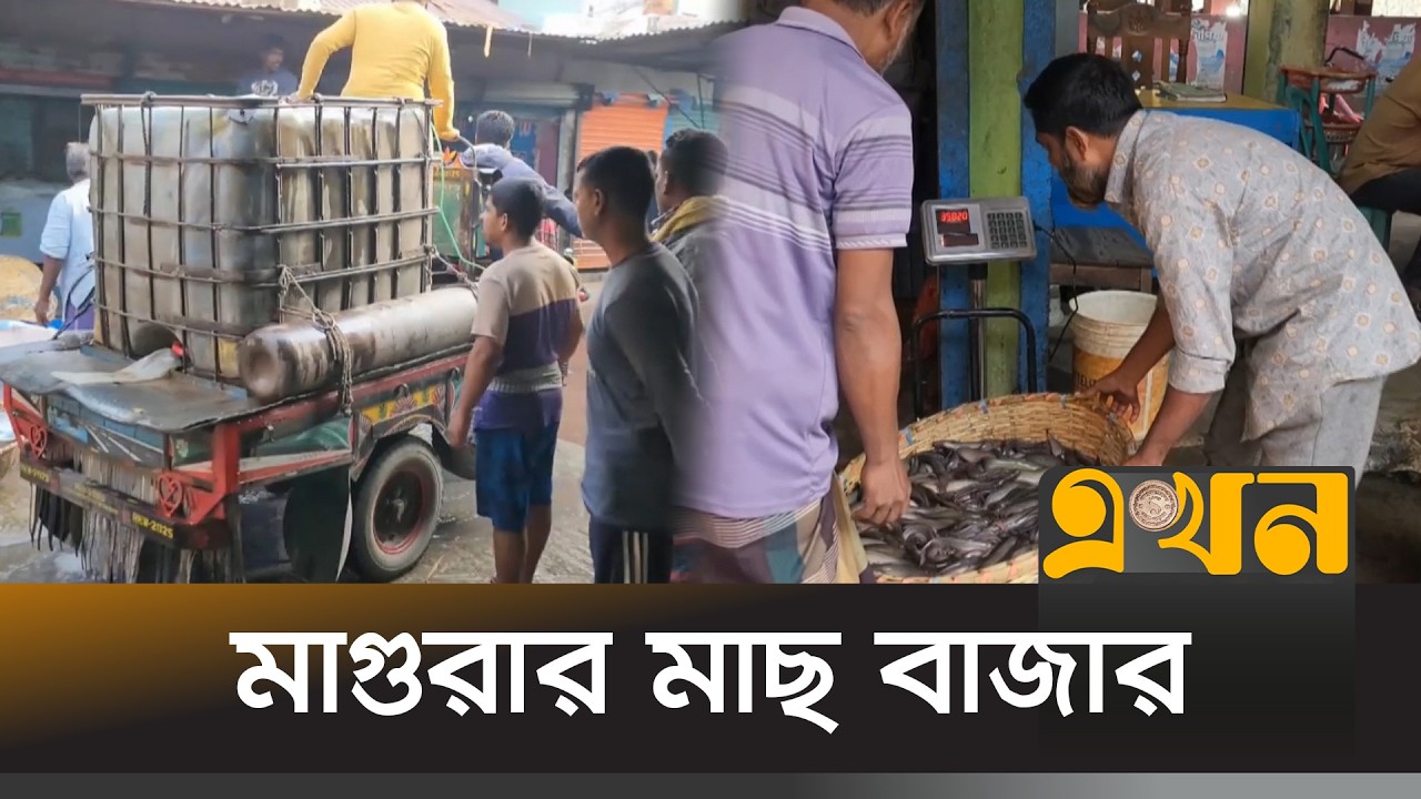 মাগুরায় বেড়েছে চাষের মাছের দাম | Magura Bazar | Fish Market | Price Hike | EKhon TV