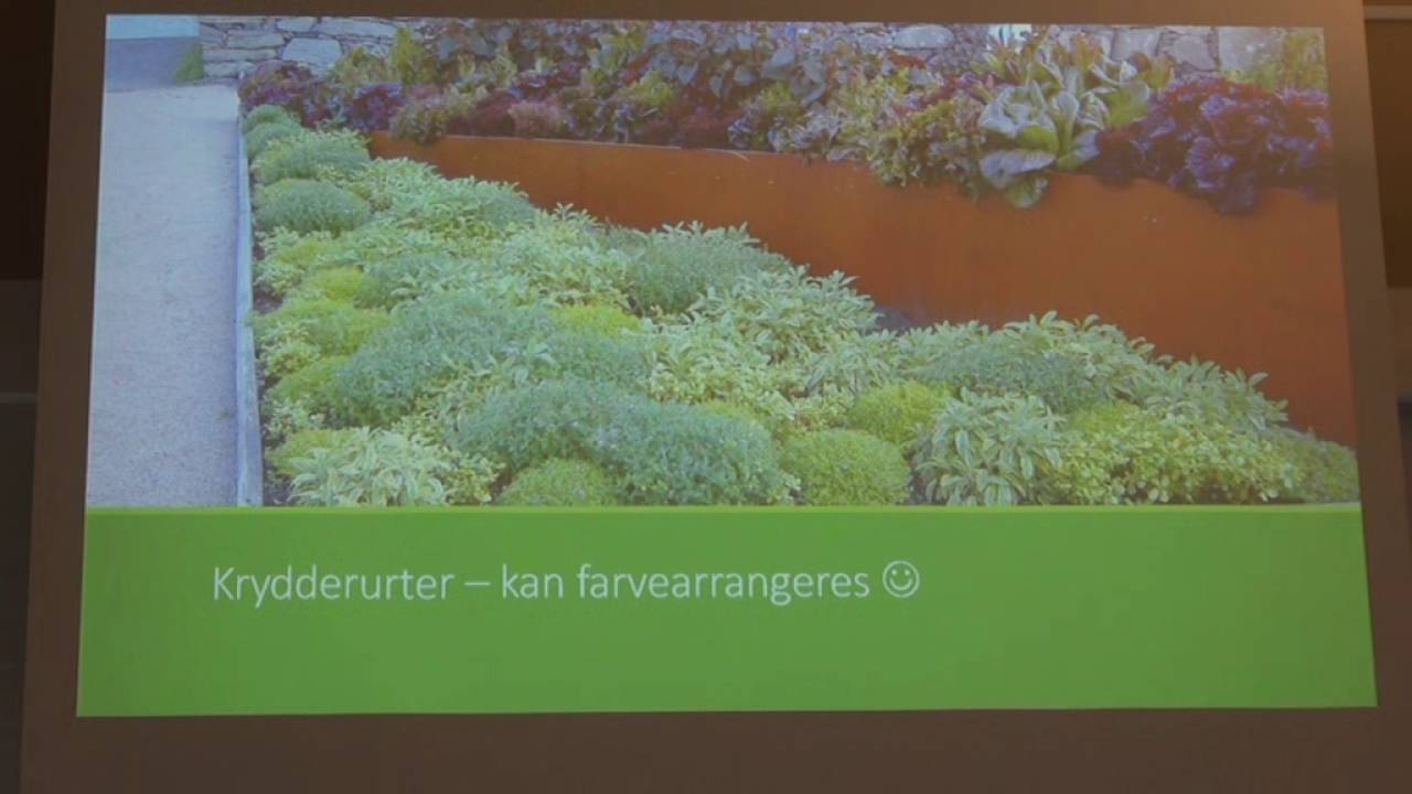 Hvordan gør du din have mere interessant for bier?  Janne Fuglsang